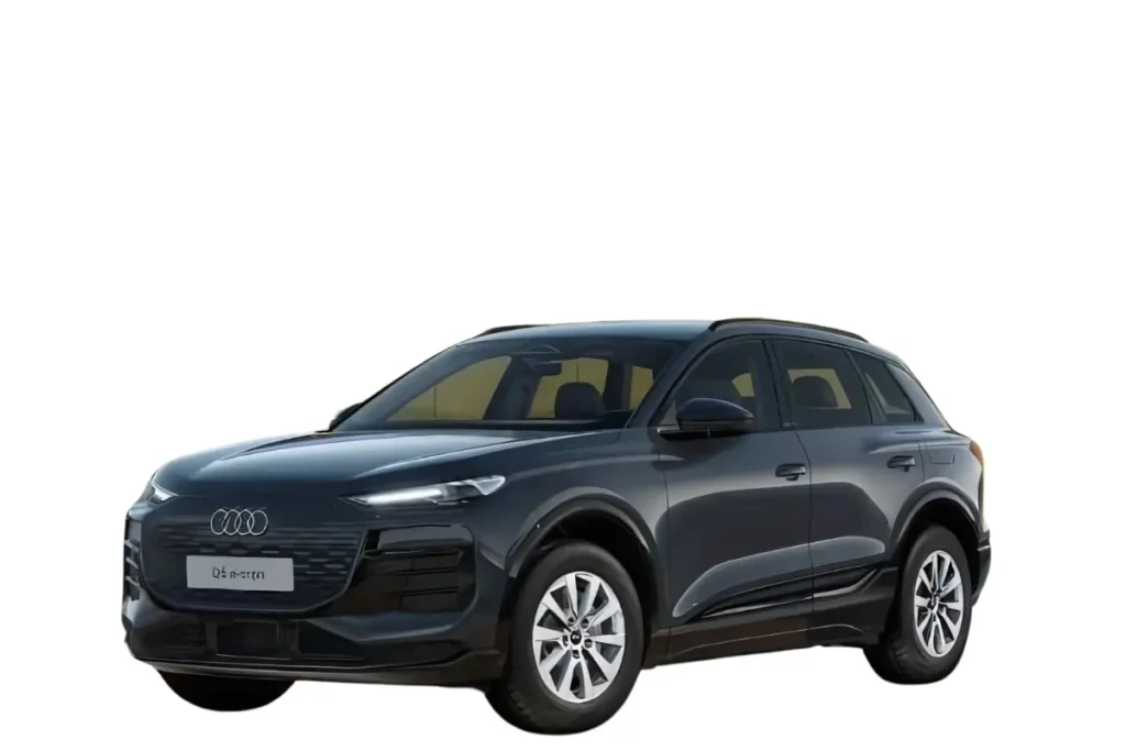 Audi Q6 e-tron Magneetgrijs Kleur