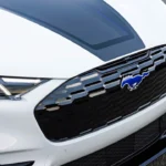 Rave Blue Verlicht Pony Embleem en Zwarte Mesh Grille - Extreme Close-Up