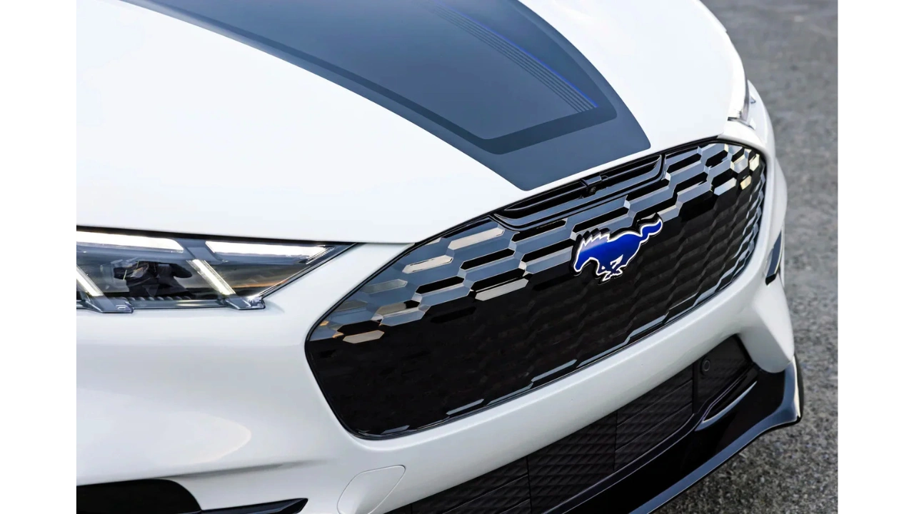 Rave Blue Verlicht Pony Embleem en Zwarte Mesh Grille - Extreme Close-Up