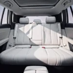 GAC Aion i60 Rear Passenger Space